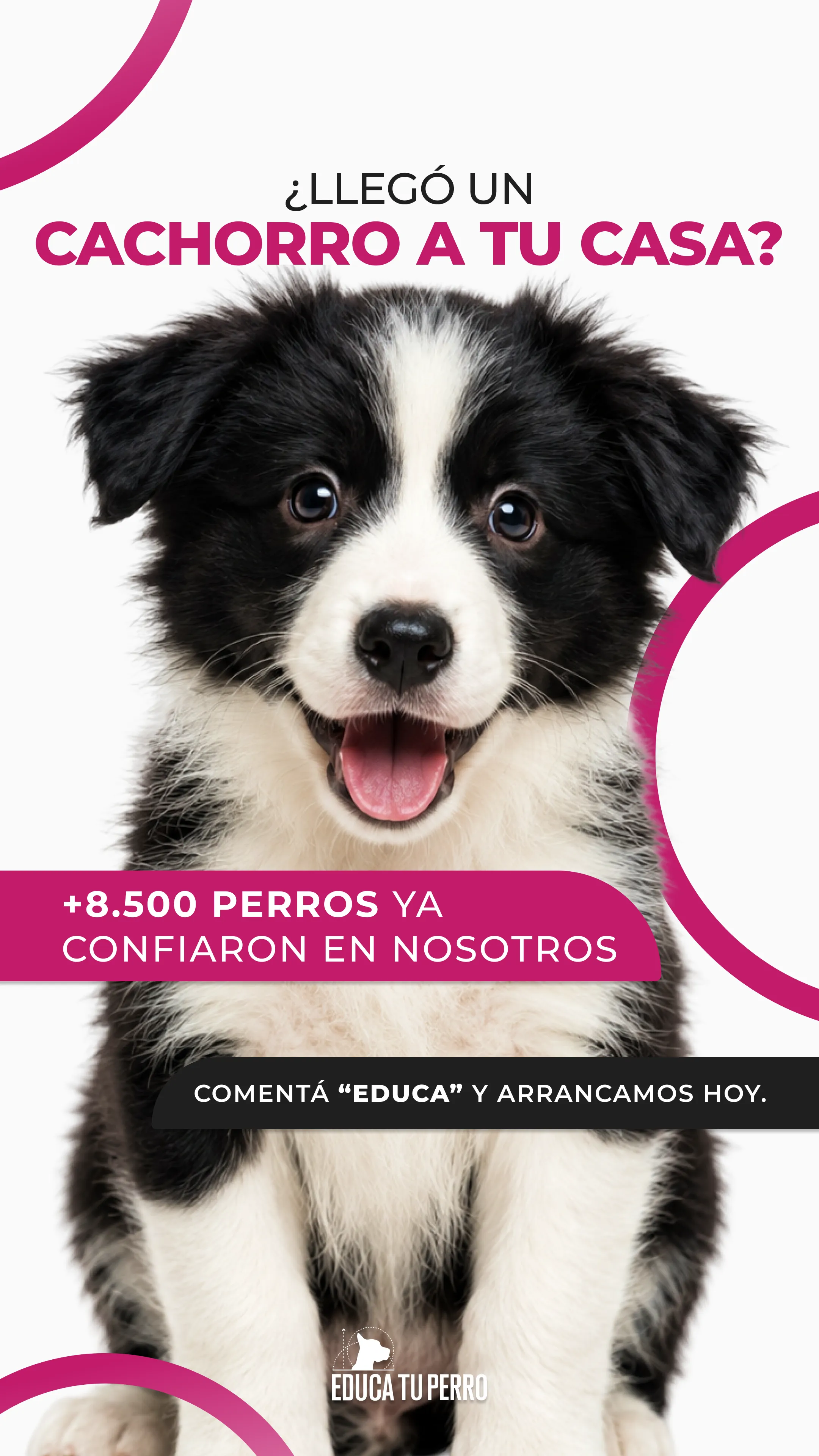 Educa Tu Perro 10
